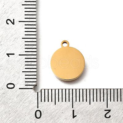 304 Stainless Steel Flat Round Charms STAS-Q348-27B-G03-1