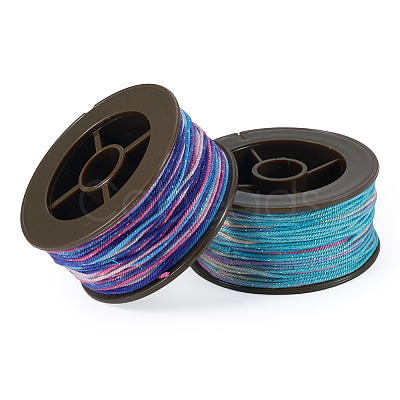 2 Rolls 2 Colors Segment Dyed Round Polyester Twisted Cords OCOR-TA0003-65D-1