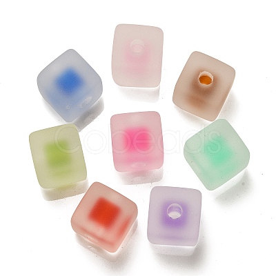 Frosted Acrylic European Beads OACR-G012-14-1