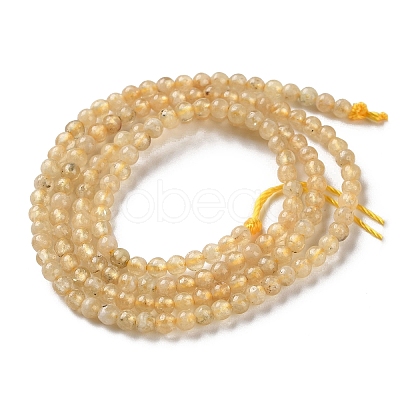 Natural Yellow Garnet Beads Strands G-Z129-C01-3mm-01-1