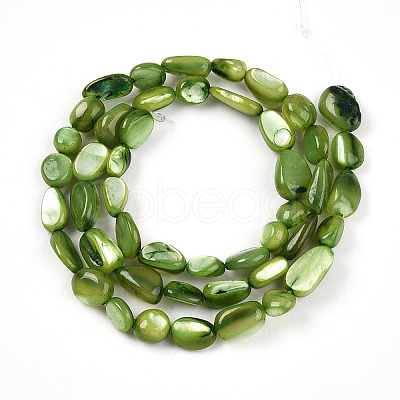 Natural White Shell Beads Strands SHEL-N036-21D-1