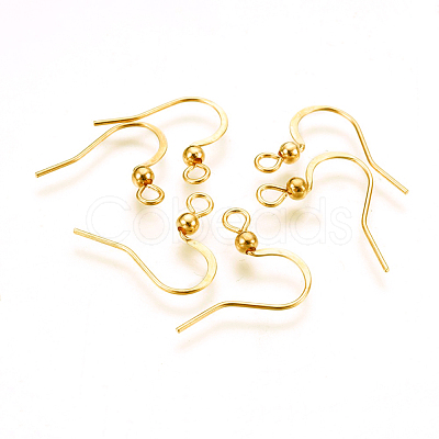 316 Surgical Stainless Steel Earring Hooks X-STAS-P220-13G-1