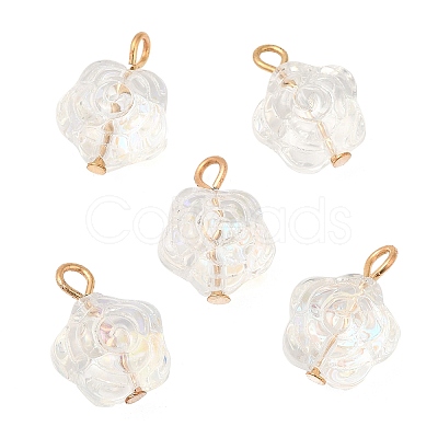 Glass Pendants KK-Q777-14LG-1