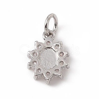Brass Micro Pave Cubic Zirconia Charms ZIRC-F132-36P-1