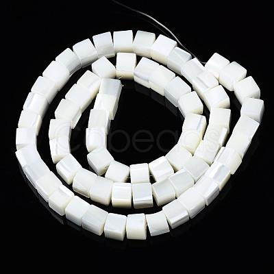 Natural Trochid Shell/Trochus Shell Beads Strands SSHEL-S266-008-1