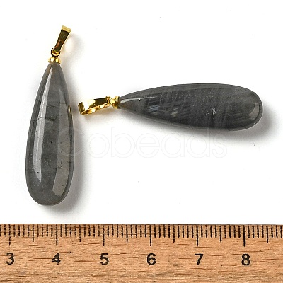 Natural Labradorite Pendants G-Q192-07G-06-1