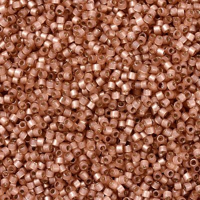 MIYUKI Delica Beads X-SEED-J020-DB2172-1