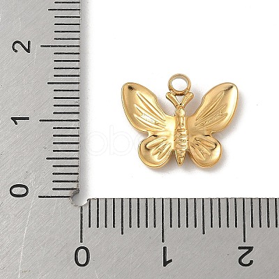 304 Stainless Steel Charms STAS-P388-17G-1