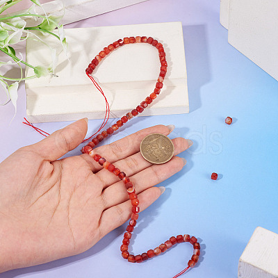 1 Strand Dyed Natural Red Banded Agate/Striped Agate Beads Strands G-TA0003-36-1