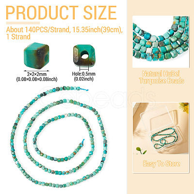 1 Strand Natural HuBei Turquoise Beads Strands G-TA0003-37-1