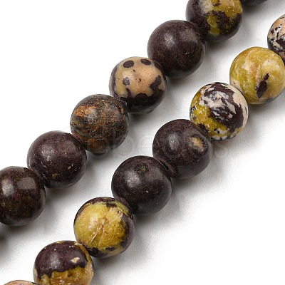 Natural Cherry Blossom Jasper Beads Strands G-C079-A02-02-1