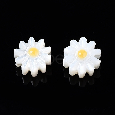Natural Freshwater Shell Beads SHEL-N003-20A-01-1