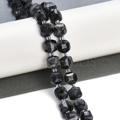Natural Larvikite Beads Strands G-B125-O05-01-1