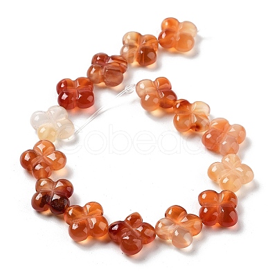 Natural Red Agate Beads Strands G-P520-A06-01-1