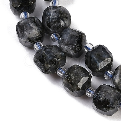 Natural Larvikite Beads Strands G-B125-O05-01-1