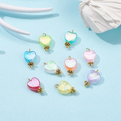 Eco-Friendly Transparent Acrylic Charms PALLOY-JF00749-02-1