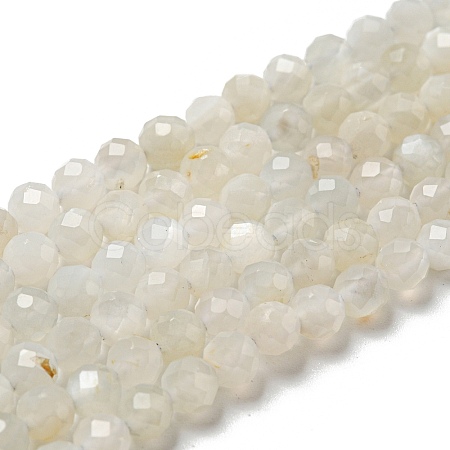 Natural Moonstone Beads Strands G-F736-01-AB-1