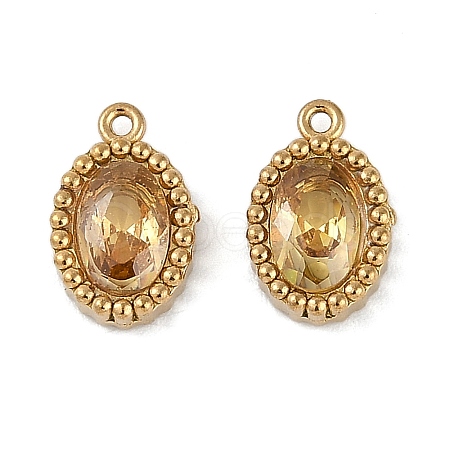 Ion Plating(IP) 304 Stainless Steel Micro Pave Cubic Zirconia Charms STAS-K256-19G-09-1