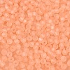 FGB Frosted Transparent Glass Seed Beads SEED-N013-02A-04-3