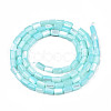 Natural Trochid Shell/Trochus Shell Beads Strands SHEL-N003-26-B09-2