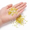 Glass Seed Beads X-SEED-S059-011-5
