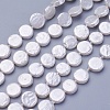 Shell Pearl Beads Strands X-BSHE-P030-01A-2