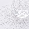 13/0 Glass Seed Beads SEED-T005-14A-A09-2