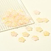 30Pcs Baking Paint Glass Beads GLAA-FS0001-97D-9