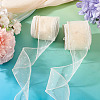 Polyester Deco Mesh Ribbons OCOR-TAC0024-004F-6