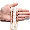 Natural Cultured Freshwater Pearl Beads Strands PEAR-N024-04-4AB-5