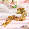 Sparkle Rhinestone & Plastic Beaded Ribbon Trim FIND-WH0308-389-5