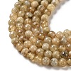 Natural Yellow Garnet Beads Strands G-Z129-C01-6mm-01-4