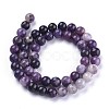 Natural Lepidolite/Purple Mica Stone Beads Strands X-G-K415-8mm-3