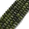 Natural TaiWan Jade Beads Strands G-Z111-A44-3