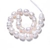 Natural Cultured Freshwater Pearl Beads Strands PEAR-N012-07C-2