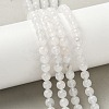 Natural Rainbow Moonstone Beads Strands G-I249-B04-05-6