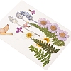 Pressed Dried Flowers DIY-YWC0001-94-4
