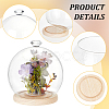 Diamond Glass Dome Cover AJEW-WH0348-294D-02-5