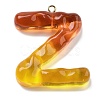 Resin Pendant FIND-Q107-01Z-01-1