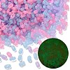 Luminous Transparent Acrylic Beads LACR-D009-01H-1