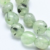 Natural Prehnite Beads Strands X-G-E483-71-3