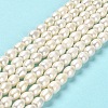 Natural Cultured Freshwater Pearl Beads Strands PEAR-E016-171-2