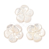 Natural White Shell Carved Beads SSHEL-I026-12F-07-1