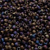 TOHO 6/0 Round Beads X-SEED-TR06-0615-4