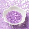 8/0 Glass Seed Beads SEED-Z001-C-E16-2