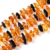 Natural Amber Beads Strands G-T138-237-1