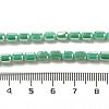 Electroplate Glass Beads Strands EGLA-D031-01B-4