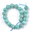 Natural Amazonite Beads Strands G-S333-10mm-022-2