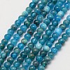 Natural Apatite Beads Strands G-D856-01-4mm-1