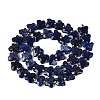 Dyed Natural Lapis Lazuli Beads Strands G-N371-10A-02-3